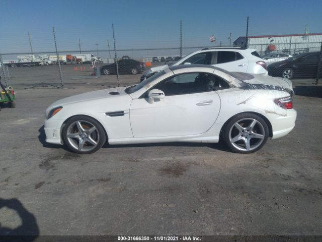 Photo 7 VIN: WDDPK5HAXFF099523 - MERCEDES-BENZ SLK-CLASS 