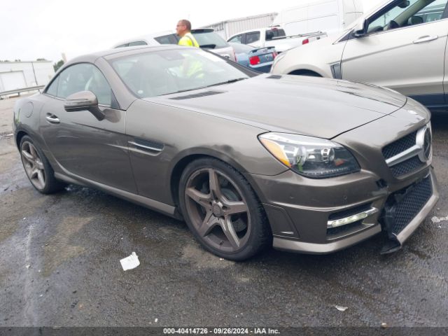 Photo 0 VIN: WDDPK5HAXGF117620 - MERCEDES-BENZ SLK-CLASS 