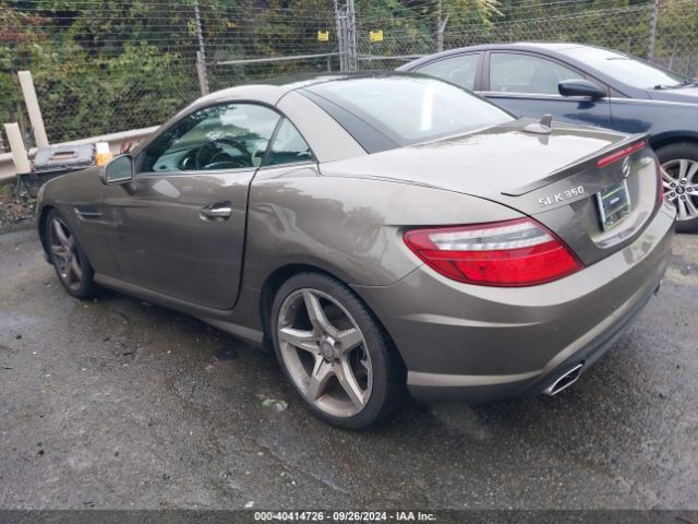 Photo 2 VIN: WDDPK5HAXGF117620 - MERCEDES-BENZ SLK-CLASS 