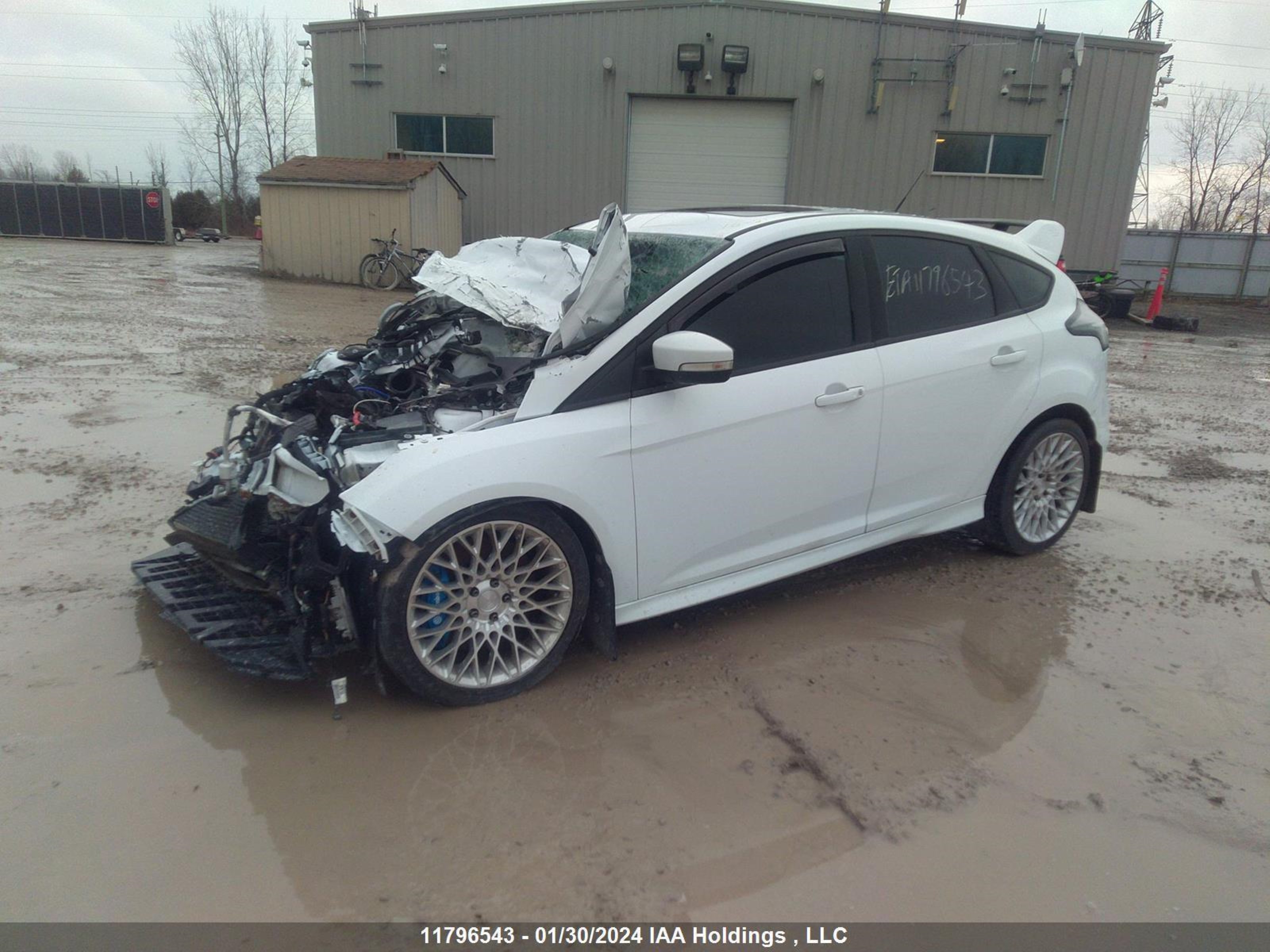 Photo 1 VIN: WF0DP3TH1H4125946 - FORD FOCUS 