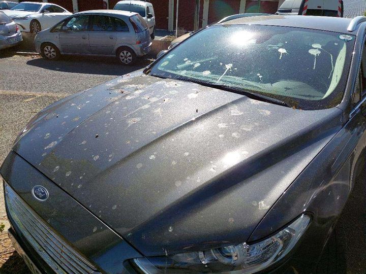 Photo 23 VIN: WF0FXXWPCFJL55239 - FORD MONDEO SW 