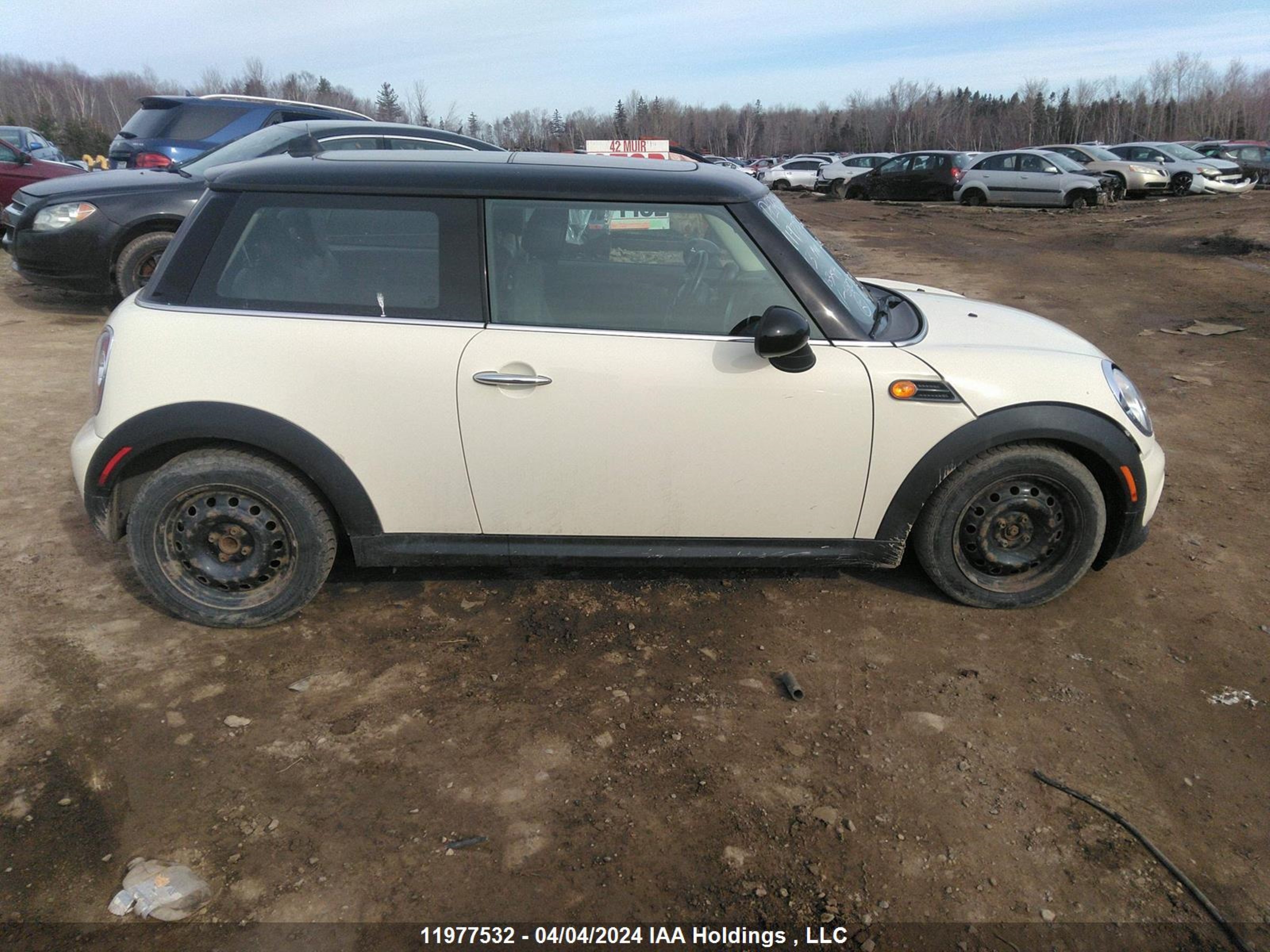 Photo 13 VIN: WMWSU3C52DT680989 - MINI COOPER 