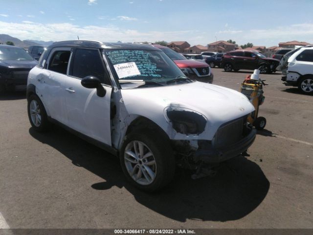 Photo 0 VIN: WMWZB3C53DWM07160 - MINI COOPER COUNTRYMAN 