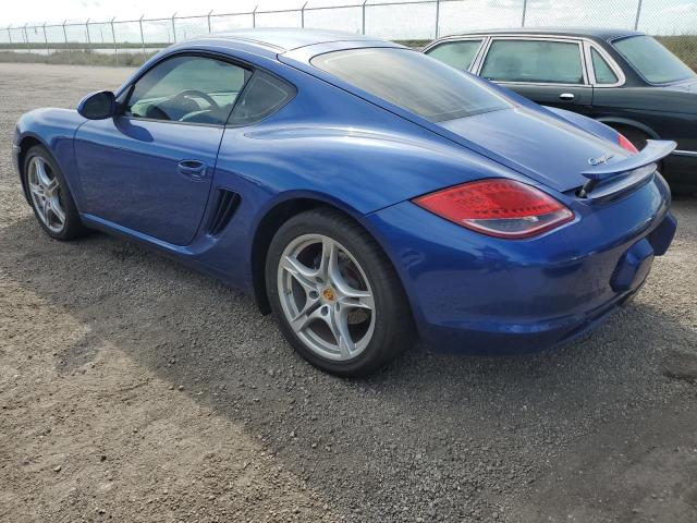 Photo 1 VIN: WP0AA29859U760730 - PORSCHE CAYMAN 