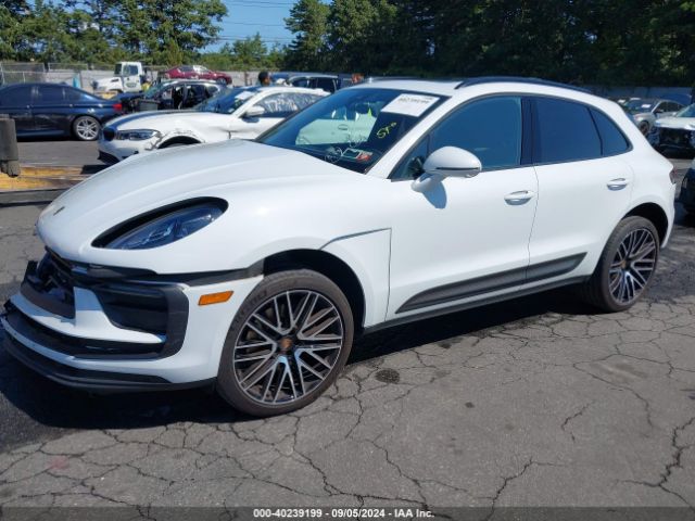 Photo 1 VIN: WP1AA2A59PLB01259 - PORSCHE MACAN 