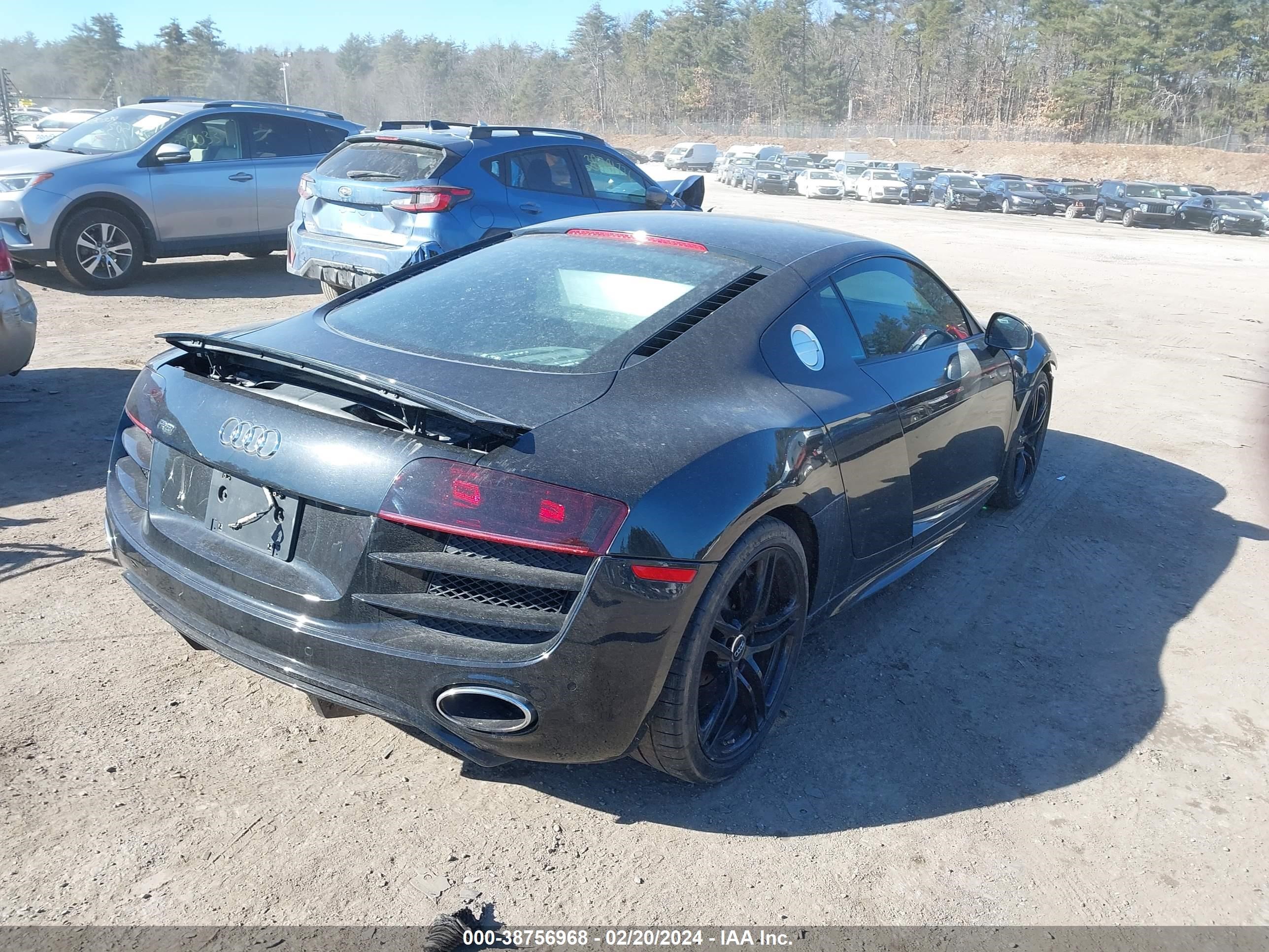 Photo 3 VIN: WUAAU34299N002404 - AUDI R8 