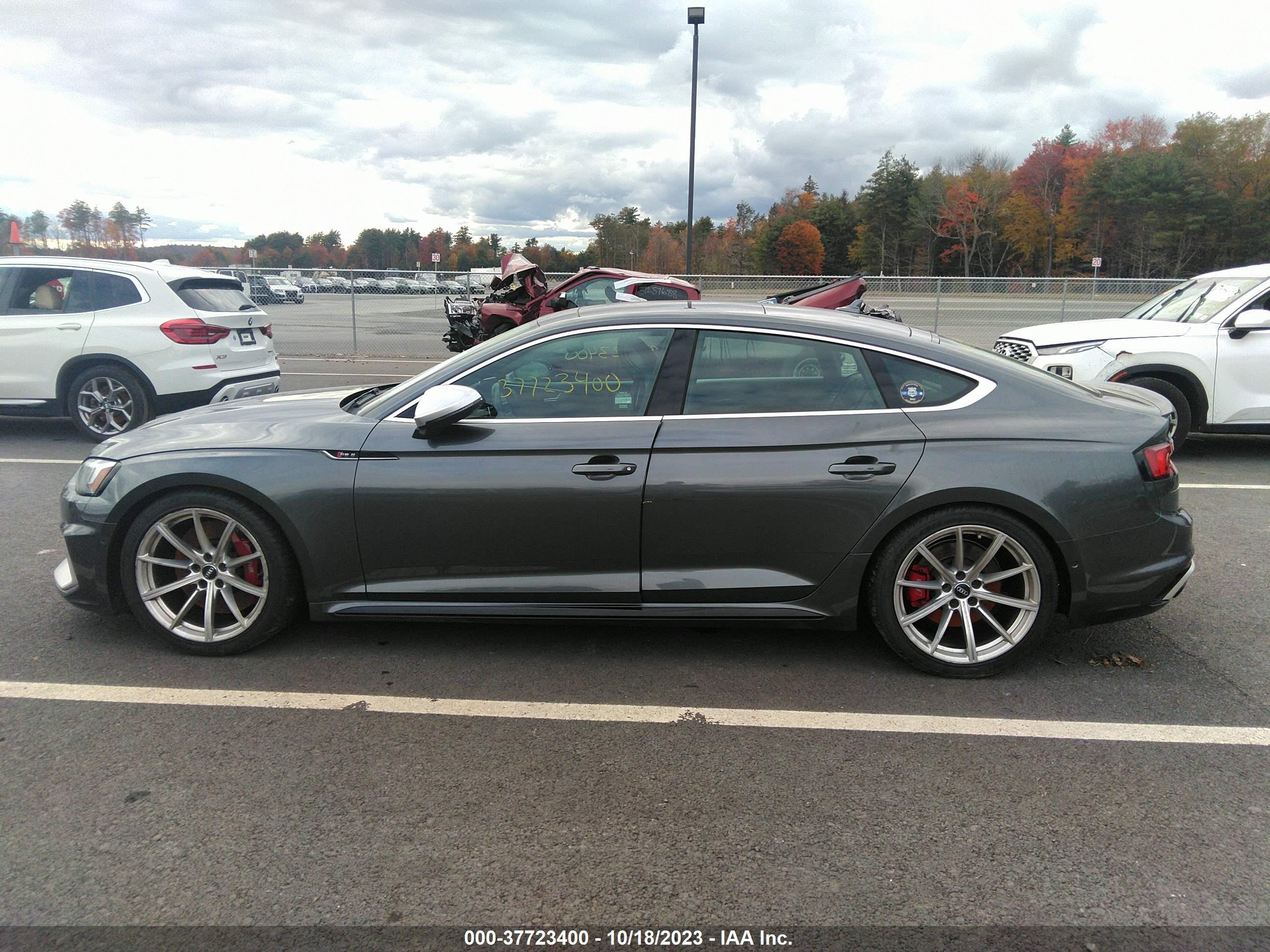 Photo 13 VIN: WUABWCF5XKA901355 - AUDI RS5 