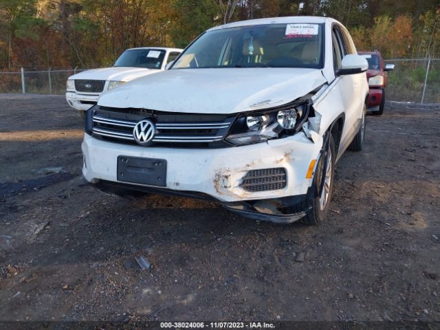 Photo 5 VIN: WVGAV3AX6EW564805 - VOLKSWAGEN TIGUAN 