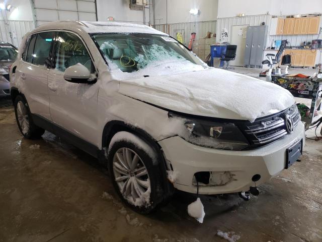 Photo 0 VIN: WVGAV3AX8DW581894 - VOLKSWAGEN TIGUAN 