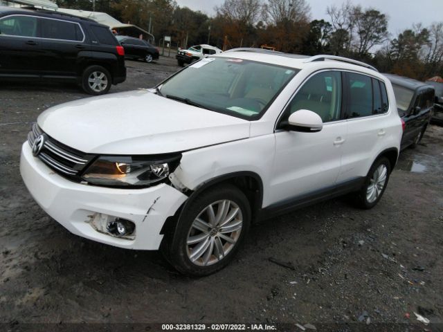 Photo 1 VIN: WVGAV3AX8DW624940 - VOLKSWAGEN TIGUAN 