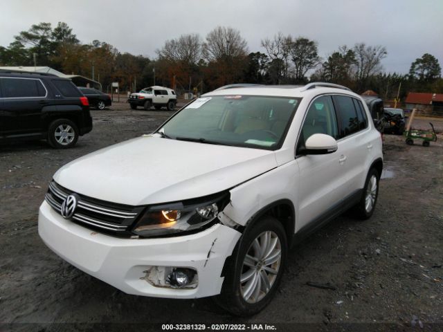 Photo 5 VIN: WVGAV3AX8DW624940 - VOLKSWAGEN TIGUAN 