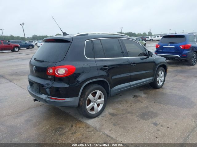 Photo 3 VIN: WVGAV7AX0AW537827 - VOLKSWAGEN TIGUAN 