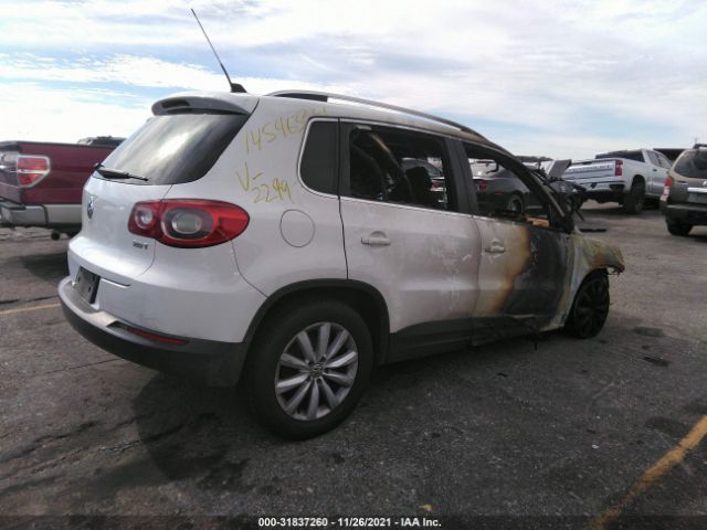 Photo 3 VIN: WVGAV7AX0BW502299 - VOLKSWAGEN TIGUAN 