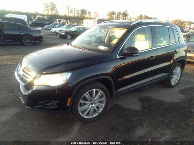 Photo 1 VIN: WVGAV7AX1BW504420 - VOLKSWAGEN TIGUAN 