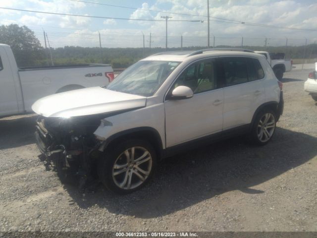 Photo 1 VIN: WVGAV7AX2DW507006 - VOLKSWAGEN TIGUAN 