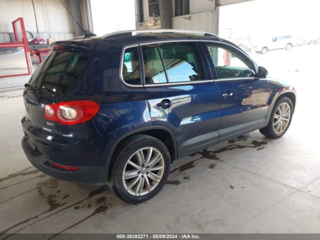 Photo 3 VIN: WVGAV7AX3BW523356 - VOLKSWAGEN TIGUAN 