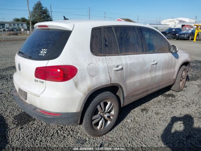 Photo 3 VIN: WVGAV7AX4DW500316 - VOLKSWAGEN TIGUAN 