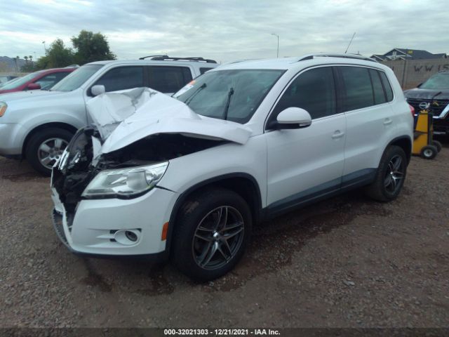 Photo 1 VIN: WVGAV7AX5BW542944 - VOLKSWAGEN TIGUAN 