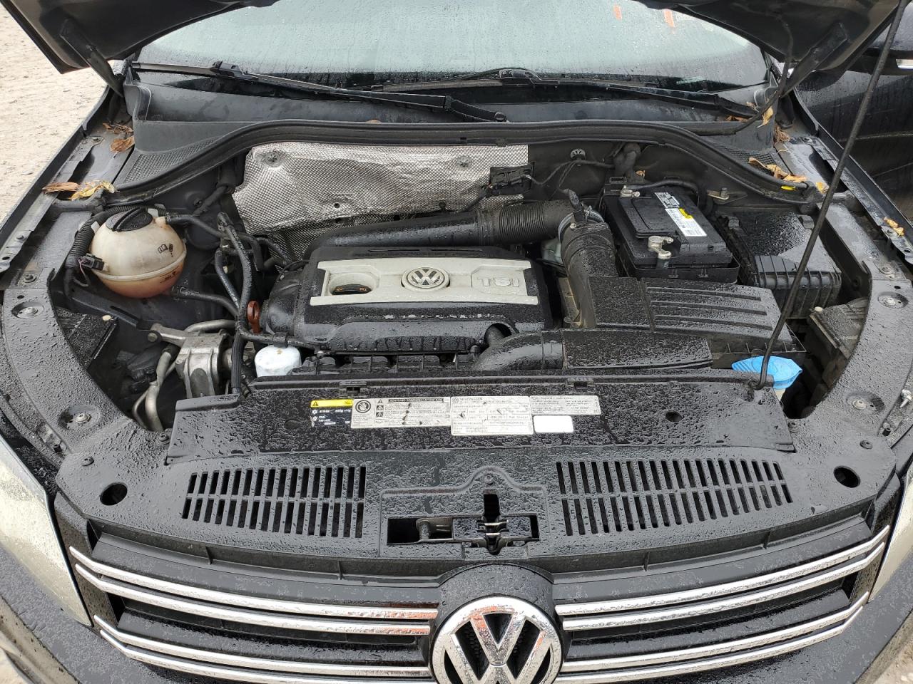 Photo 10 VIN: WVGAV7AX5DW544650 - VOLKSWAGEN TIGUAN 