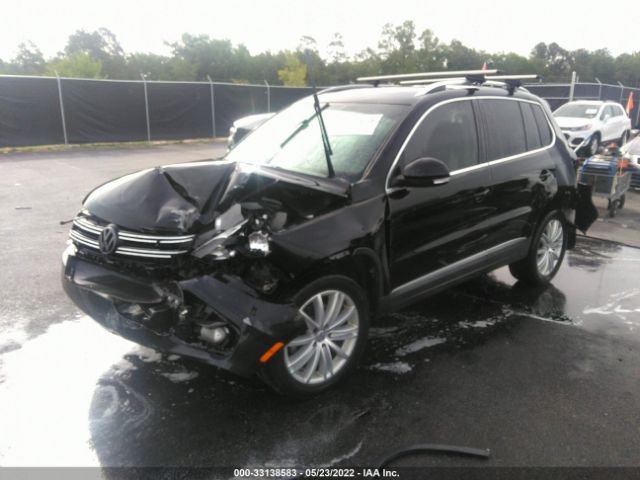 Photo 1 VIN: WVGAV7AX5DW556524 - VOLKSWAGEN TIGUAN 