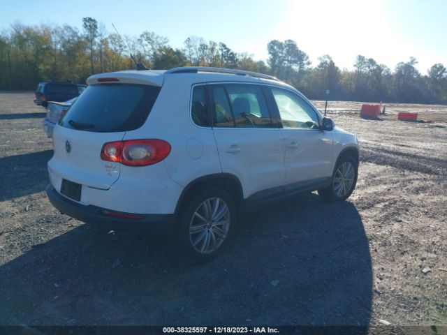 Photo 3 VIN: WVGAV7AX6AW508848 - VOLKSWAGEN TIGUAN 