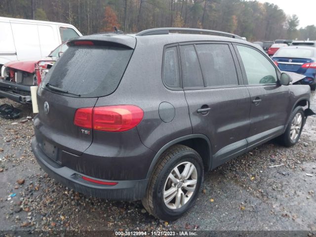 Photo 3 VIN: WVGAV7AX7GW536456 - VOLKSWAGEN TIGUAN 