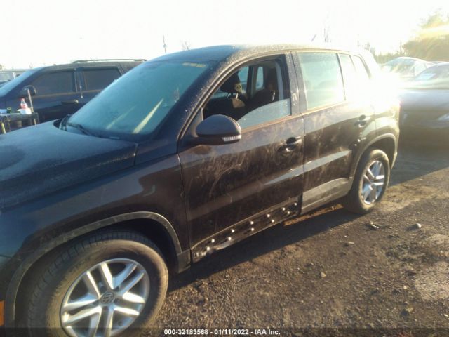 Photo 5 VIN: WVGAV7AX8BW501059 - VOLKSWAGEN TIGUAN 