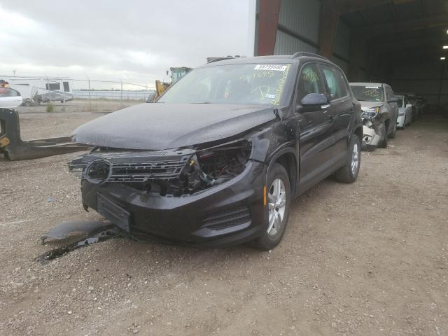 Photo 1 VIN: WVGAV7AX9GW579695 - VOLKSWAGEN TIGUAN 