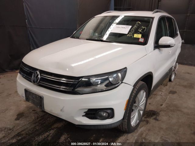 Photo 1 VIN: WVGBV3AX0DW564043 - VOLKSWAGEN TIGUAN 