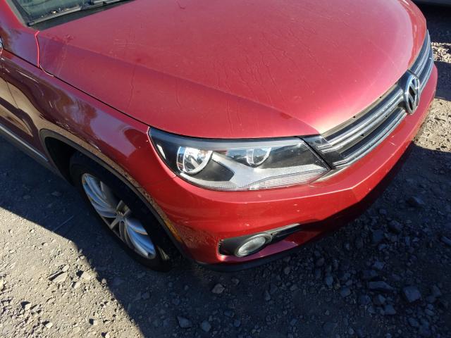 Photo 8 VIN: WVGBV3AX4EW025894 - VOLKSWAGEN TIGUAN 