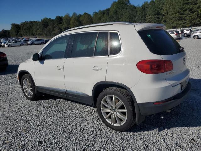 Photo 1 VIN: WVGBV3AX5DW589049 - VOLKSWAGEN TIGUAN S 