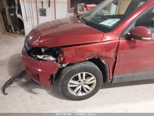 Photo 5 VIN: WVGBV3AX7DW067720 - VOLKSWAGEN TIGUAN 