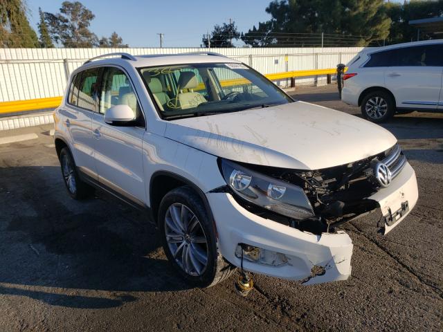 Photo 0 VIN: WVGBV3AX8DW076068 - VOLKSWAGEN TIGUAN 