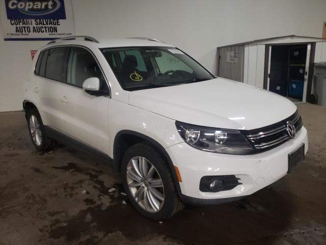 Photo 0 VIN: WVGBV3AX8DW582807 - VOLKSWAGEN TIGUAN S 