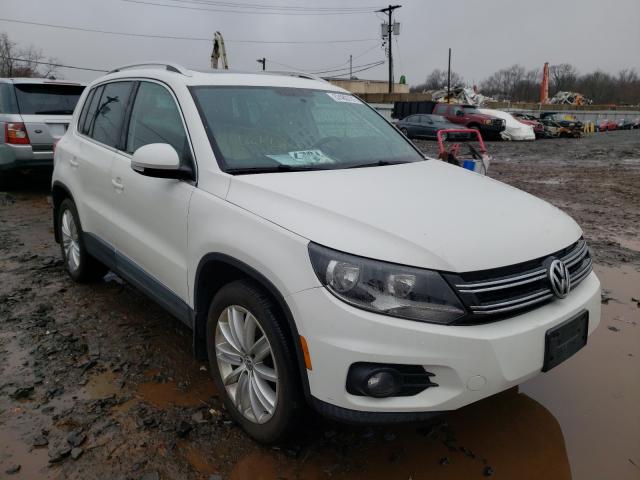 Photo 0 VIN: WVGBV3AX8DW588879 - VOLKSWAGEN TIGUAN 