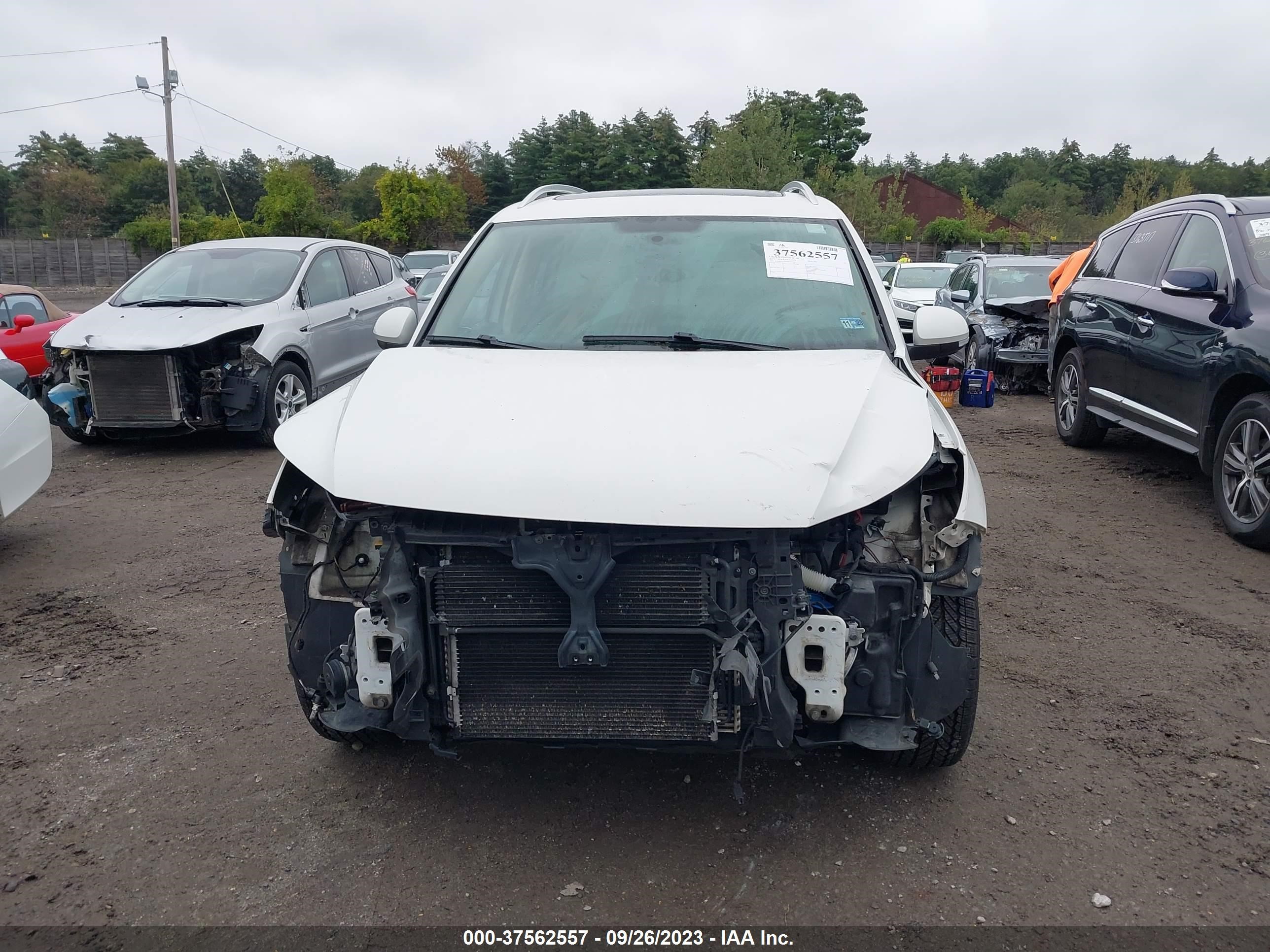 Photo 12 VIN: WVGBV3AX9DW066634 - VOLKSWAGEN TIGUAN 