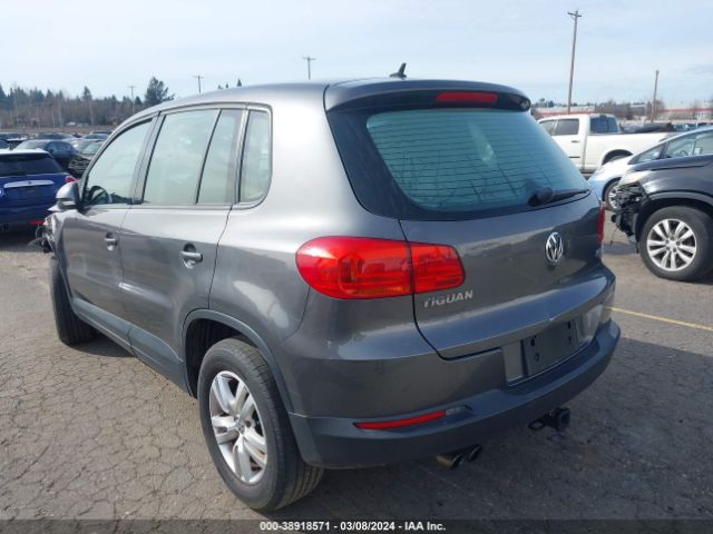 Photo 2 VIN: WVGBV3AX9DW572769 - VOLKSWAGEN TIGUAN 