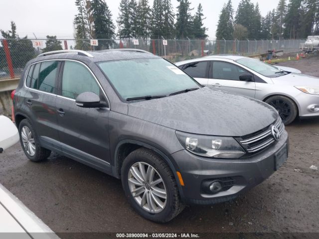 Photo 0 VIN: WVGBV3AX9DW615409 - VOLKSWAGEN TIGUAN 