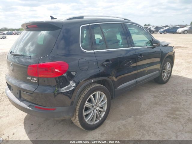 Photo 3 VIN: WVGBV3AX9EW557576 - VOLKSWAGEN TIGUAN 