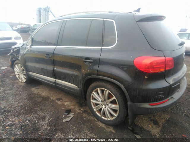 Photo 2 VIN: WVGBV3AXXDW598796 - VOLKSWAGEN TIGUAN 