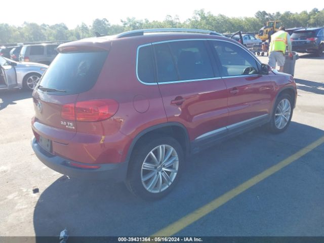 Photo 3 VIN: WVGBV3AXXEW079720 - VOLKSWAGEN TIGUAN 