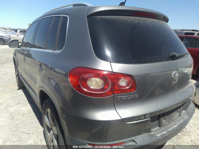 Photo 2 VIN: WVGBV7AX0AW534771 - VOLKSWAGEN TIGUAN 