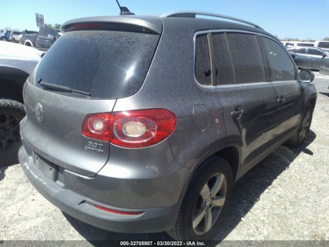 Photo 3 VIN: WVGBV7AX0AW534771 - VOLKSWAGEN TIGUAN 