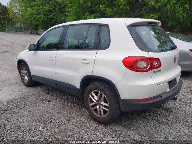 Photo 2 VIN: WVGBV7AX0BW521133 - VOLKSWAGEN TIGUAN 