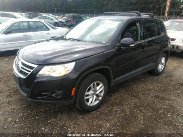 Photo 1 VIN: WVGBV7AX0BW524923 - VOLKSWAGEN TIGUAN 