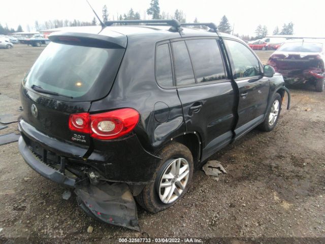 Photo 3 VIN: WVGBV7AX0BW524923 - VOLKSWAGEN TIGUAN 