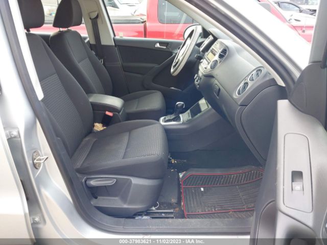 Photo 4 VIN: WVGBV7AX0BW556884 - VOLKSWAGEN TIGUAN 