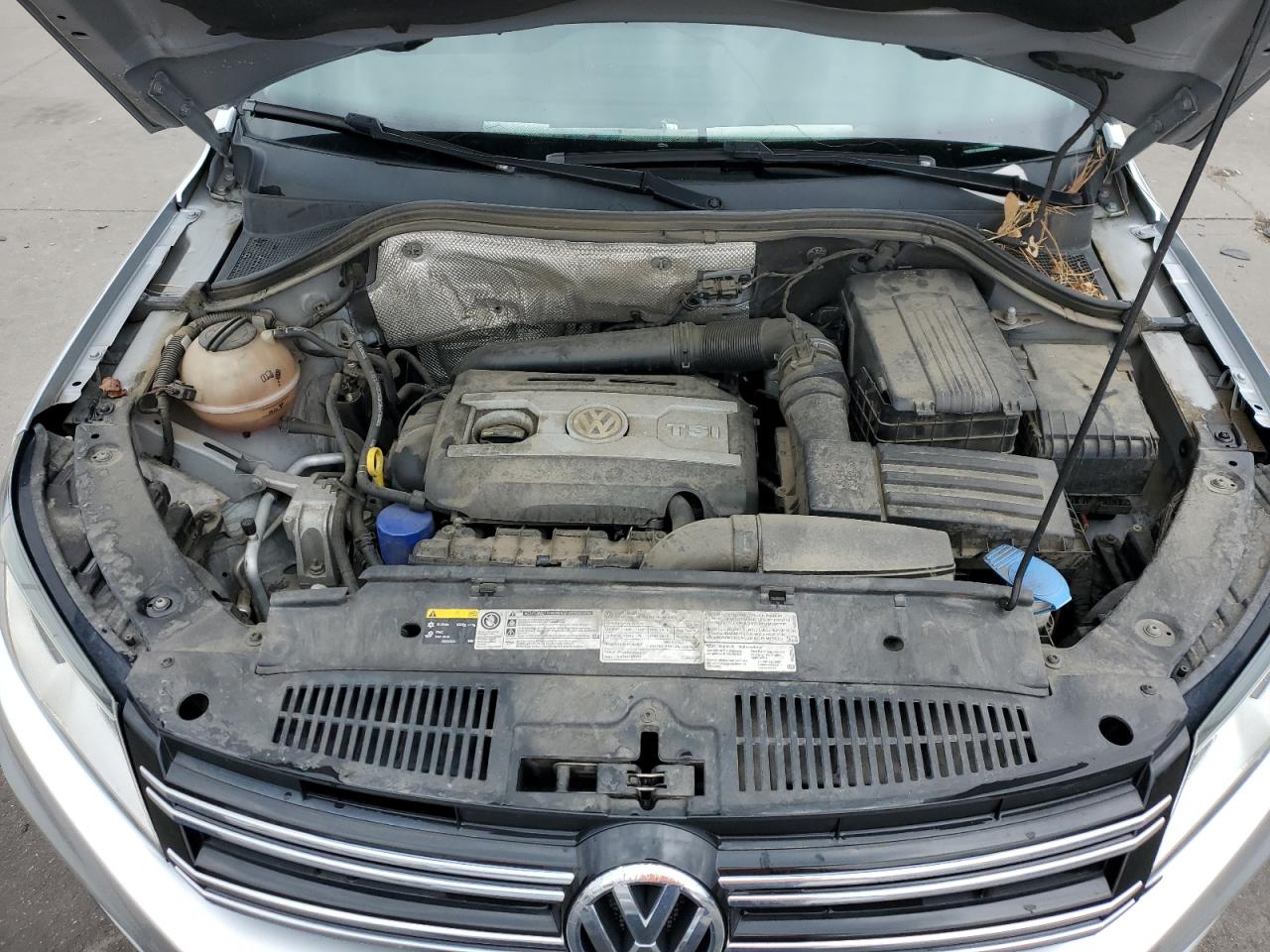 Photo 11 VIN: WVGBV7AX0GW024607 - VOLKSWAGEN TIGUAN 