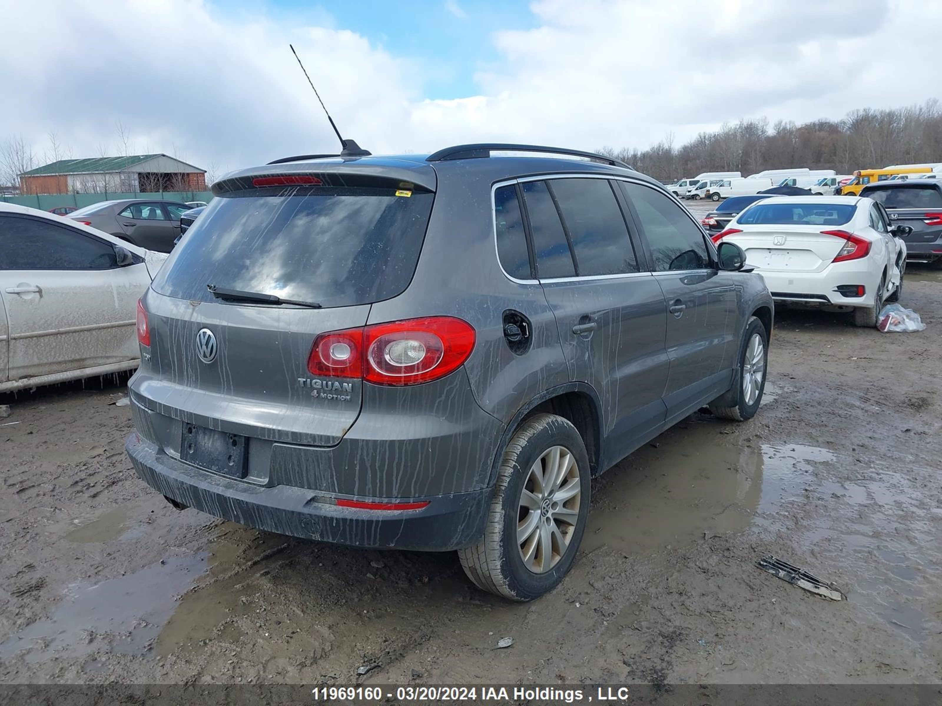 Photo 3 VIN: WVGBV7AX1AW511337 - VOLKSWAGEN TIGUAN 