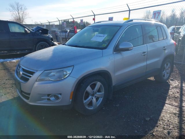 Photo 1 VIN: WVGBV7AX1AW516361 - VOLKSWAGEN TIGUAN 